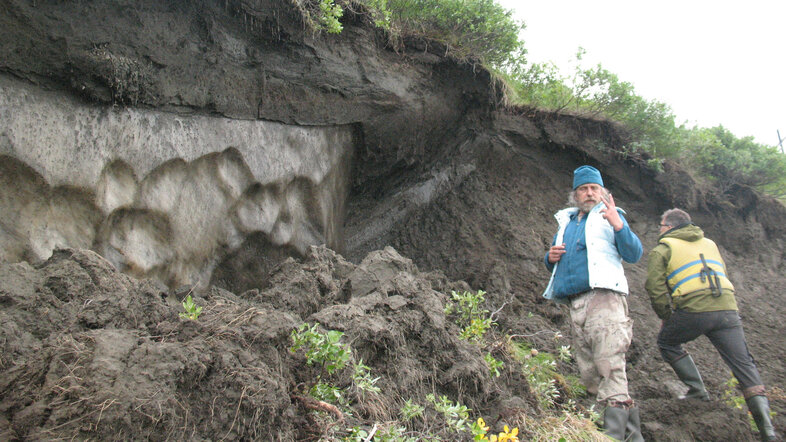 The research team investigates a hole in the ground that is the result of an ice wedge having melted. To the left another ice block can be seen.