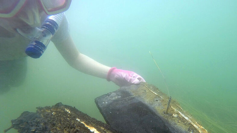 Forscherin entdeckt Wimperntierchen unter Wasser