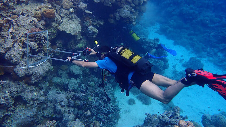 Martin Zuschin beim Tauchen am Korallenriff