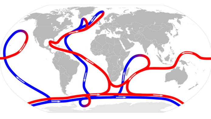 Figure of the Thermohaline circulation system in the oceans