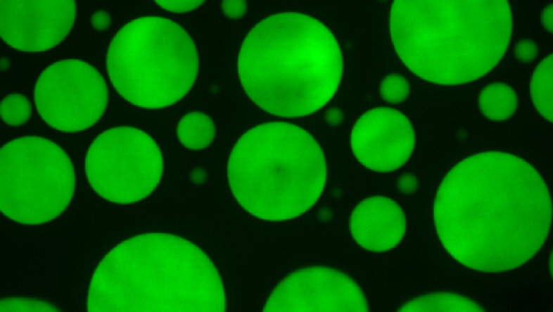 Green fluorescent droplets on black background