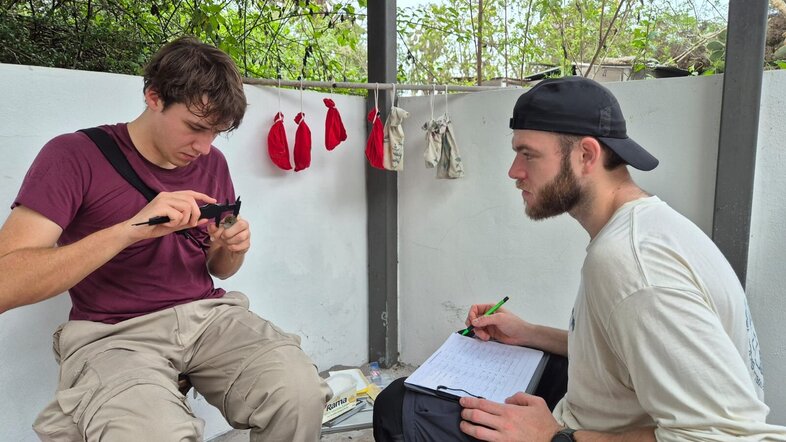 Banding and measuring a Galápagos flycatcher