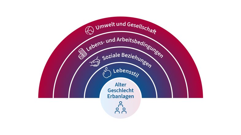 Eine Illustration des Regenbogenmodells nach Dahlgren und Whitehead. Alter, Geschlecht und Erbanlagen stehen in der Mitte, externe Faktoren bilden die Bögen von innen nach außen