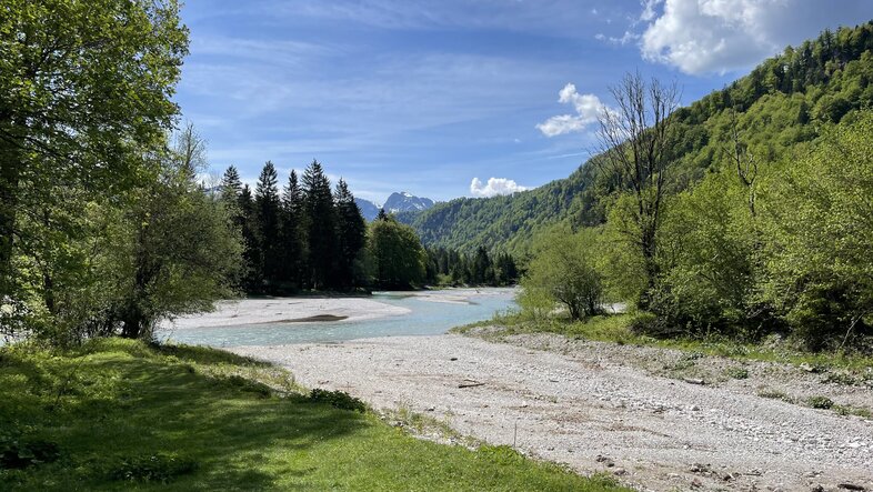 Eine Flusslandschaft mit einem Kiesufer