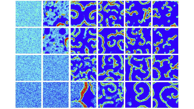 A raster (6x4) of simulation images. The left images and images at the bottom are showing the noise of many small points. The others are showing spiral and curved lines of densely organised points on an otherwise uniform background.