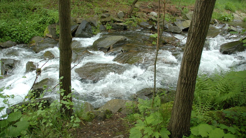Fluss in Nordböhmen