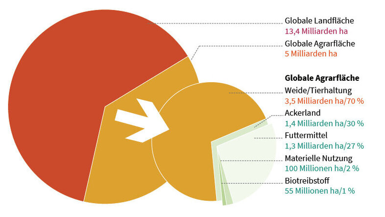 Infografik zur globalen Agrarfläche