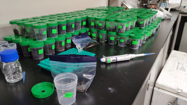 Proben im Labor in kleinen Flaschen