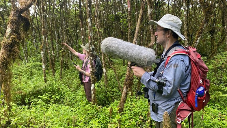 Researchers take audio recordings of birds