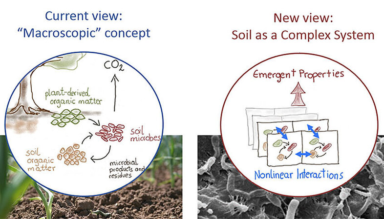 Zweigeteiltes Bild mit dem Boden auf der Makroebene und dem Kohlenstoffkreislauf links und rechts die Mikroebene: Boden als komplexes System. Emergente Eigenschaften und nichtlineare Wechselwirkungen.