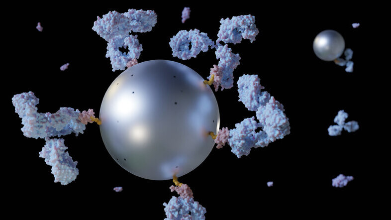Illustration of a nanoparticle coupled to antibodies
