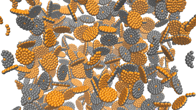 Image shows a simulation of disc-shaped magnetic nanoparticles
