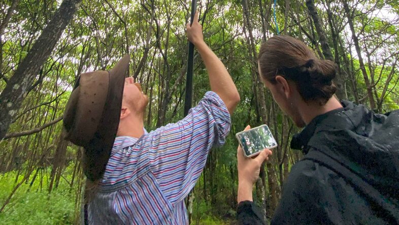 Researschers spraying critically endangered medium tree finch nests with insecticide