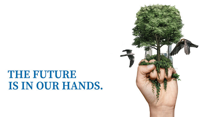 Sujet Environment and Climate Hub an illustration of a hand holding a tree surrounded by birds