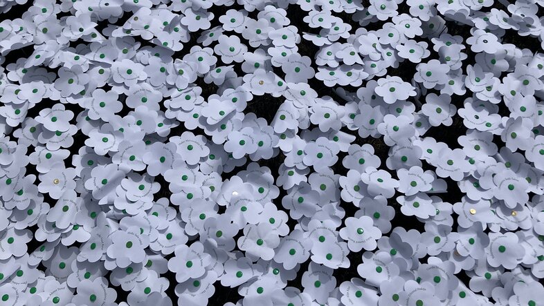 Weiße Blumen von Srebrenica