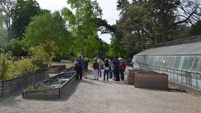 Botanischer Garten der Uni Wien