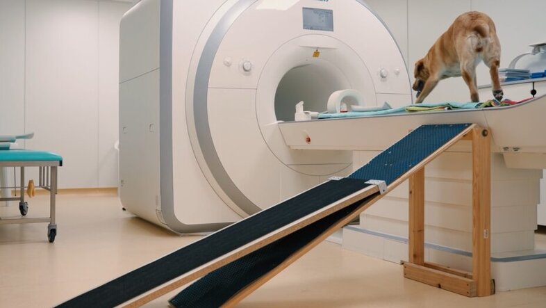 A dog and a MRI machine in a lab