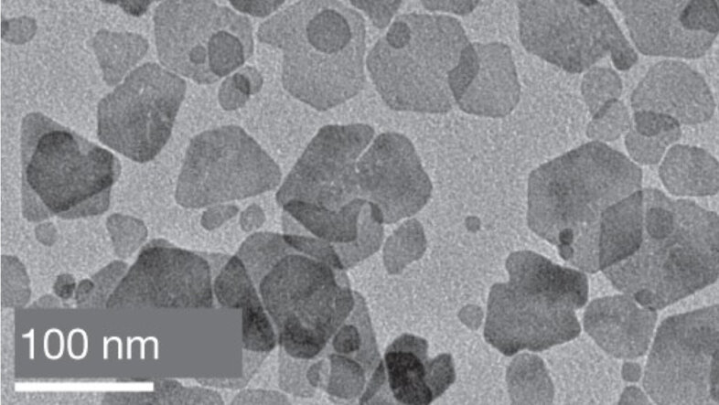 Die Größe von magnetischen Nanoplättchen beträgt weniger als 100 Nanometer (wie an der Maßstabsleiste in der Ecke sichtbar ist).