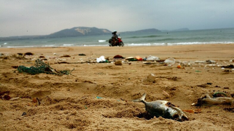 Polluted beach with plastic and litter