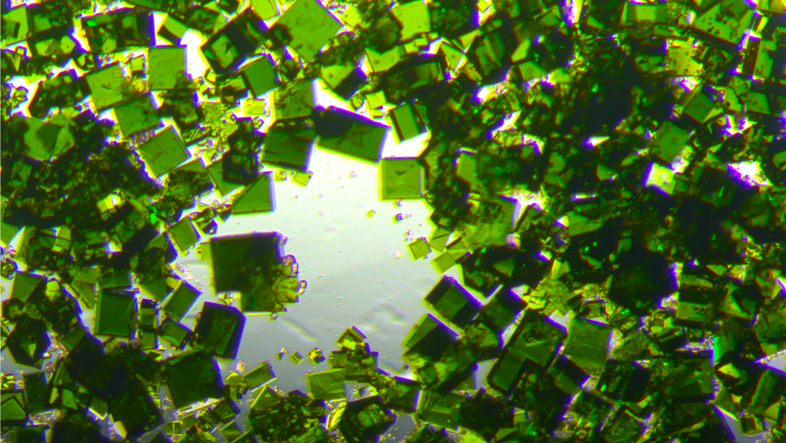 Polyoxometallate schimmern grün unter dem Mikroskop