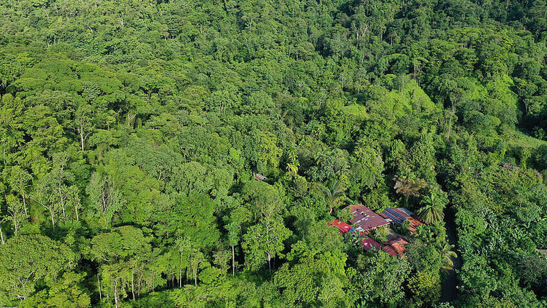 Die Tropenstation La Gamba inmitten des Regenwaldes von Costa Rica aus der Vogelperspektive.