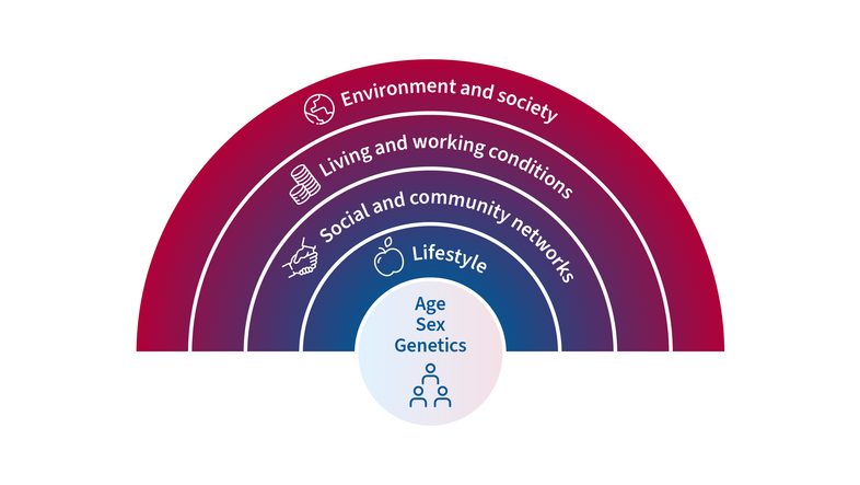 An illustration of the rainbow model according to Dahlgren and Whitehead. Age, gender and hereditary factors are in the centre, external factors form the arcs from the inside to the outside