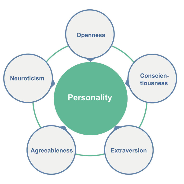 Visualisation of the big five personality dimensions: openness to experience, conscientiousness, extraversion, agreeableness, neuroticism.