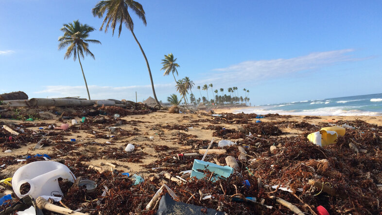Müllberge an einem Strand mit Palmen