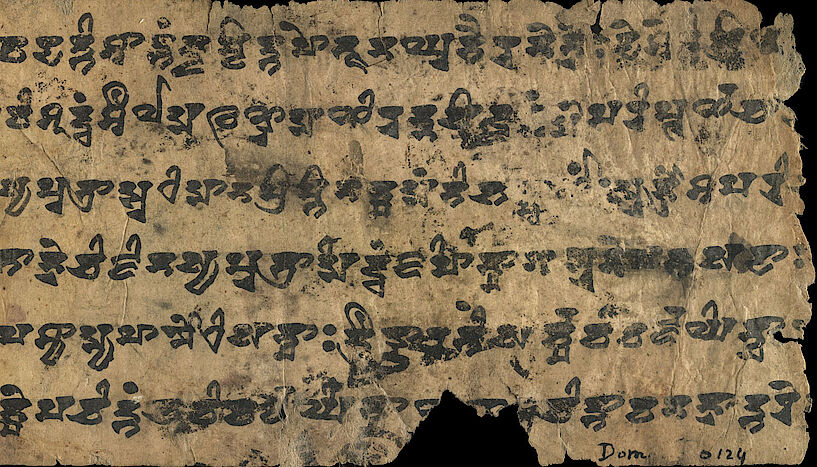 Sanskrit-Adaptionen