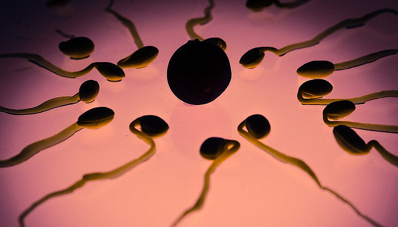 Grafik von Spermazellen