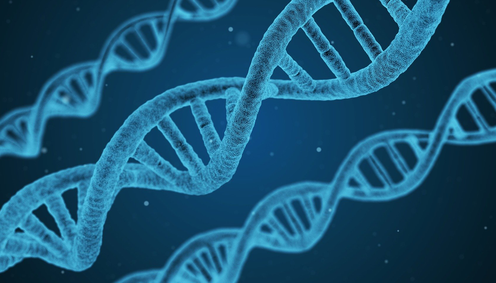Drei DNA-Stränge