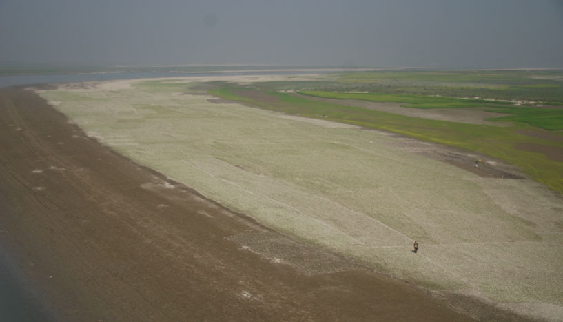 © Bauer auf einer Schwemmlandinsel im Brahmaputra, Bangladesch